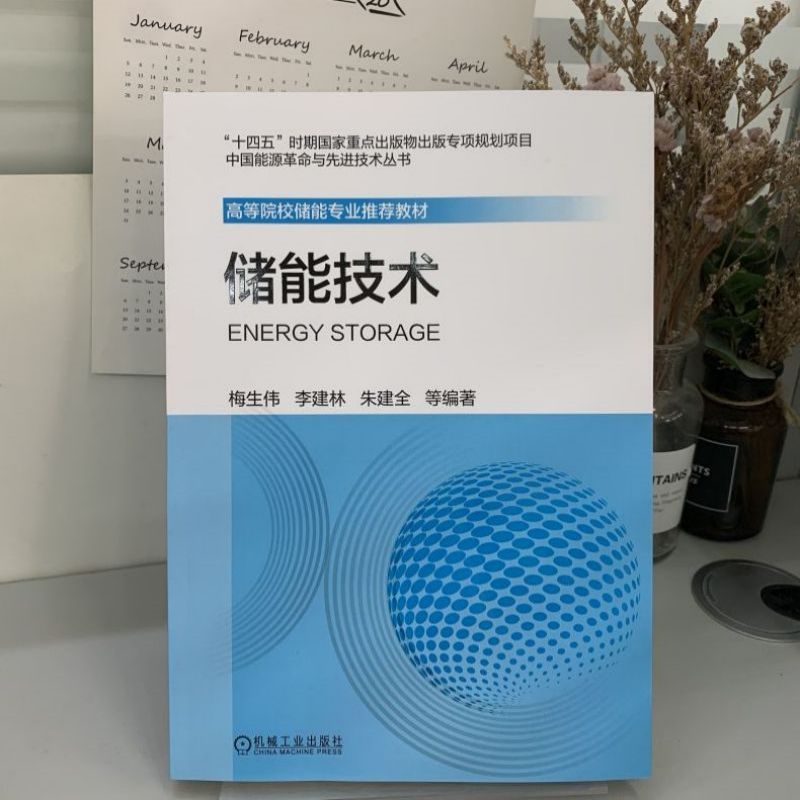 官网正版 储能技术 梅生伟 李建林 朱建全 电化学 氢 压缩空气 抽水蓄能 储热 飞轮 超导 电容器 典型应用案例 经济性分析