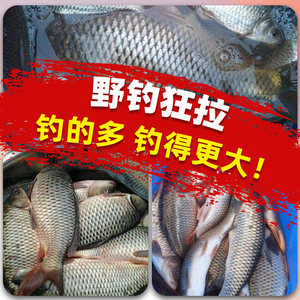 金龙野钓狂拉盆盆香腥饵料野钓鲫鲤鱼李大毛一包搞定鱼饵四季通用