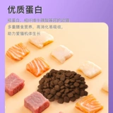 Fortis Cat Food Идеальное тело стебли лососевые волосы для волос с полной сценой Blue Cat British Short становится котят 2 кг10 кг