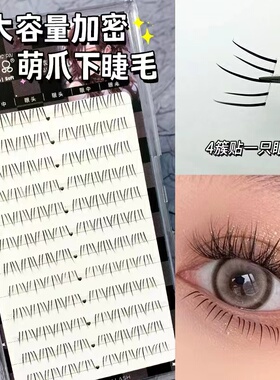 12排大容量妈生自然款小火苗漫画睫毛新手透明单簇假睫毛夹心芭比