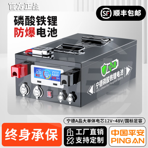 【人民保险】宁德房车专用大容量磷酸铁锂电池12v24v48伏单体电芯 - 图2