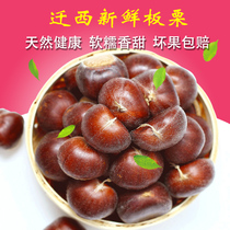 2023 Zhengzong Yan Mountain relocated to Western Chinese chestnut raw Fresh farmhouse now remove wild small hair sweet oil chestnuts 3 5 10 kilos