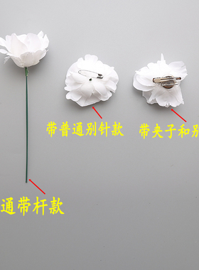 黑色玫瑰花朵纯白色仿真绢布拍摄