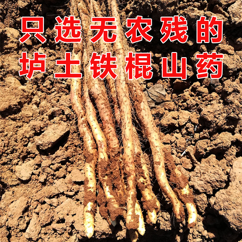 怀山正宗铁棍山药500g河南焦作温县垆土山药药食两用无硫淮山药片 - 图0