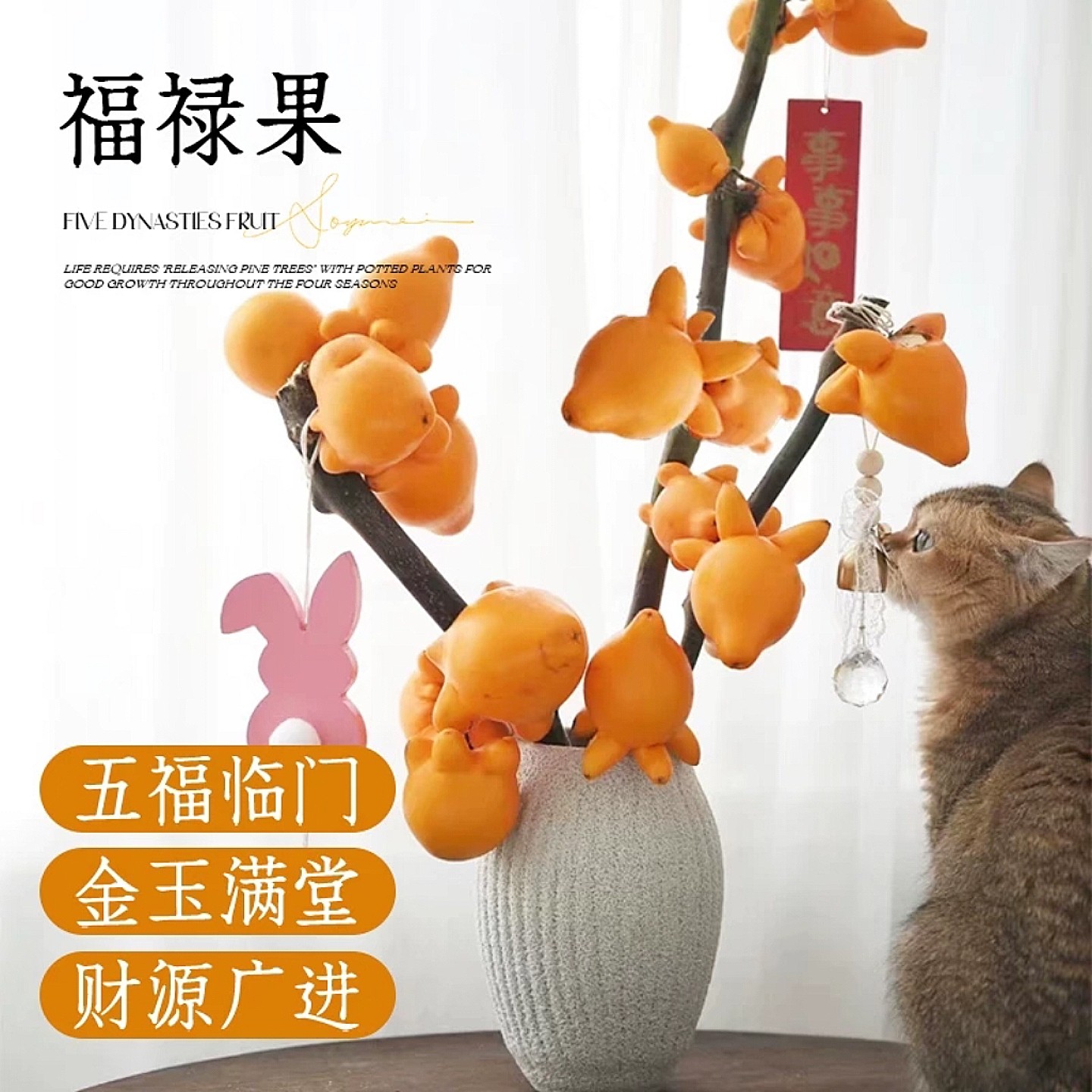 五代同堂黄金果福禄果鲜花可水养可干放家庭办公室装饰摆件高品质,淘宝优惠券,粉丝福利购,淘宝优惠卷