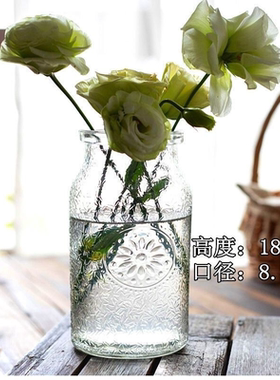 冰川纹北欧ins水培大口径玻璃花瓶透明花器鲜花干花插花客厅摆件