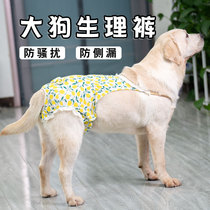 Dog Physiology Pants Mother Dog Hair Love Aunt Pants Safety Pants Women Dog Special Menstrual Proof Mating Gold Wool Dog Sanitary Napkins