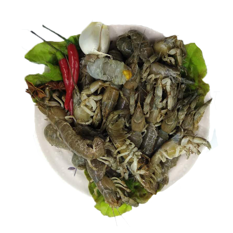 大连海鲜新鲜鼓虾虎泸沽芦沟虾鹿港虾猴小吃野生罗锅虾鲜活蝼蛄虾 - 图3