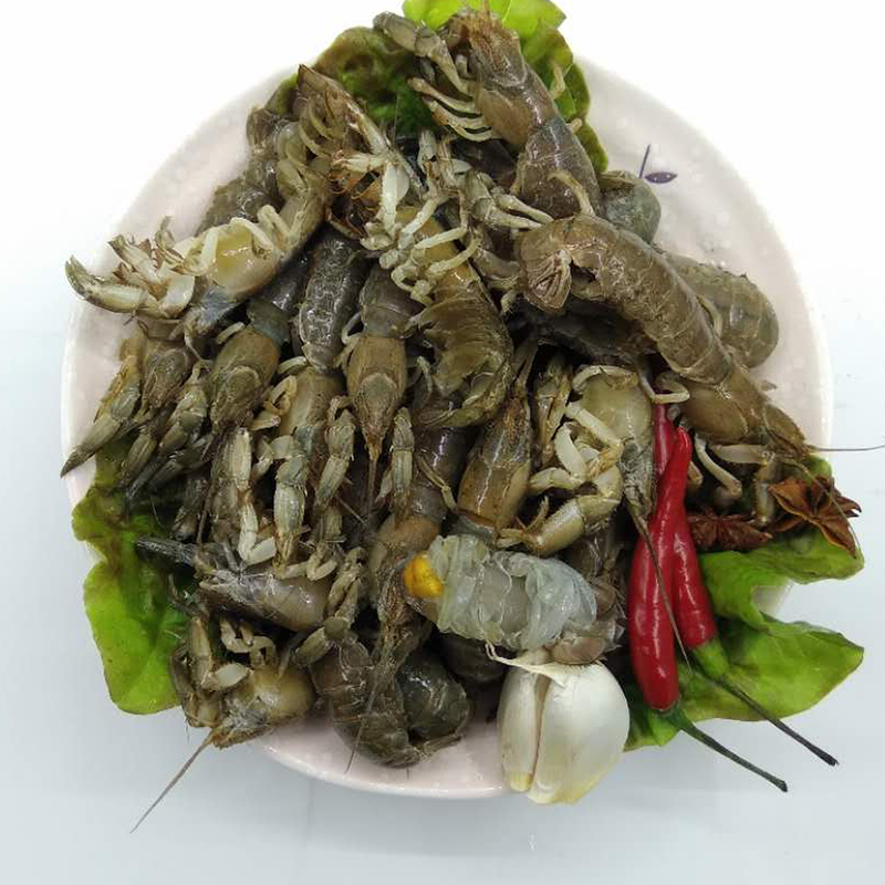 大连海鲜新鲜鼓虾虎泸沽芦沟虾鹿港虾猴小吃野生罗锅虾鲜活蝼蛄虾 - 图0