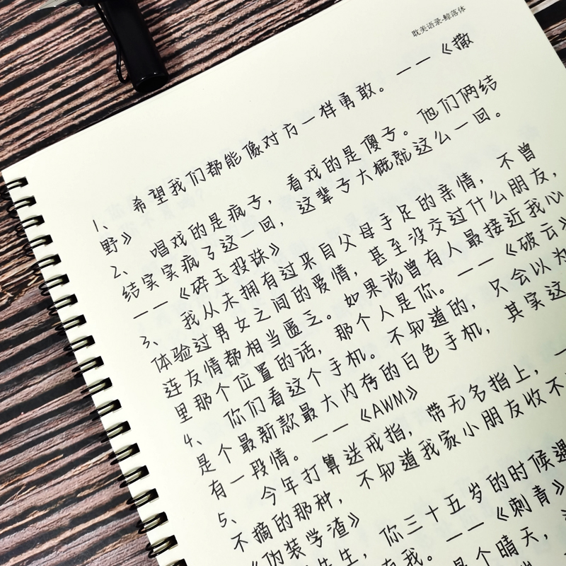 鲸落体学生作文金句字帖央视文案金句励志语录钢笔速成临摹练字帖 - 图2