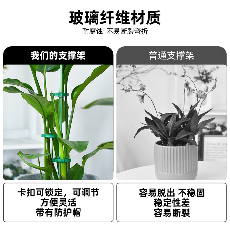 天堂鸟支撑杆专用防倒伏爬藤架植物龟背竹园艺三角梅支架固定神器,淘宝优惠券,粉丝福利购,淘宝优惠卷