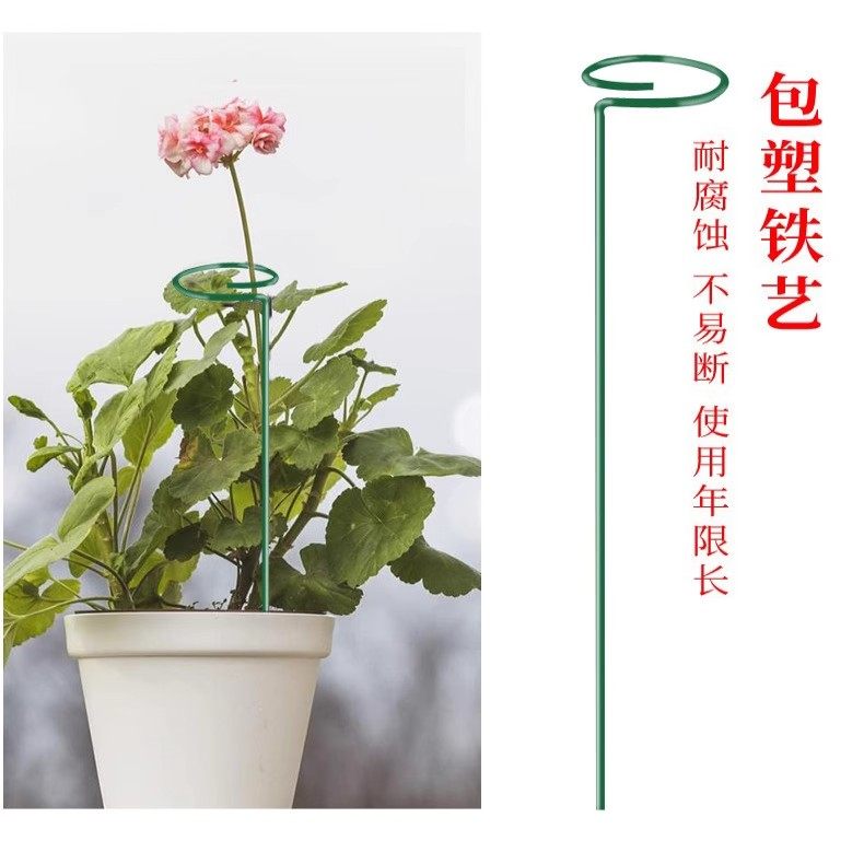 植物防倒伏支架铁艺绣球吊兰支撑杆园艺固定架爬藤花卉朱顶红花架,淘宝优惠券,粉丝福利购,淘宝优惠卷