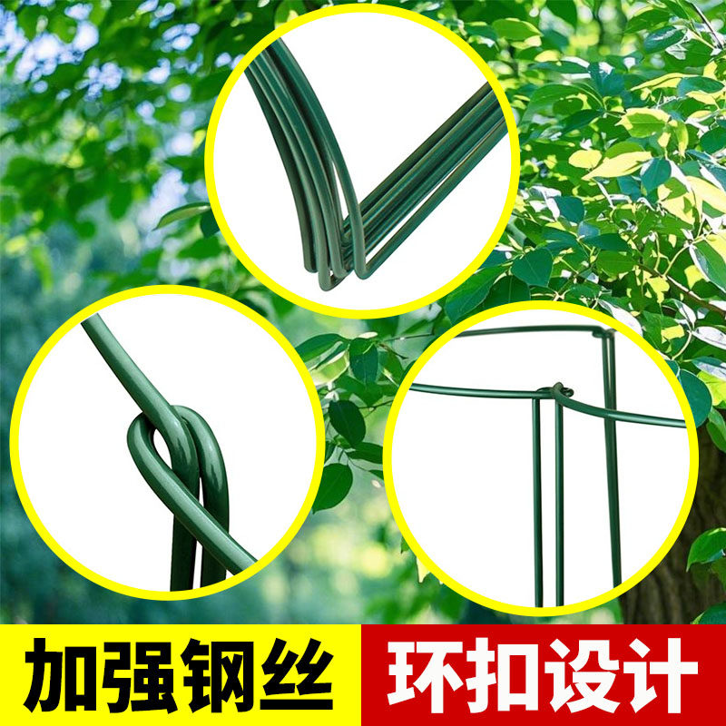 花架支撑杆防倒伏爬藤支架固定植物支撑架花架子龟背竹金钱树护花,淘宝优惠券,粉丝福利购,淘宝优惠卷