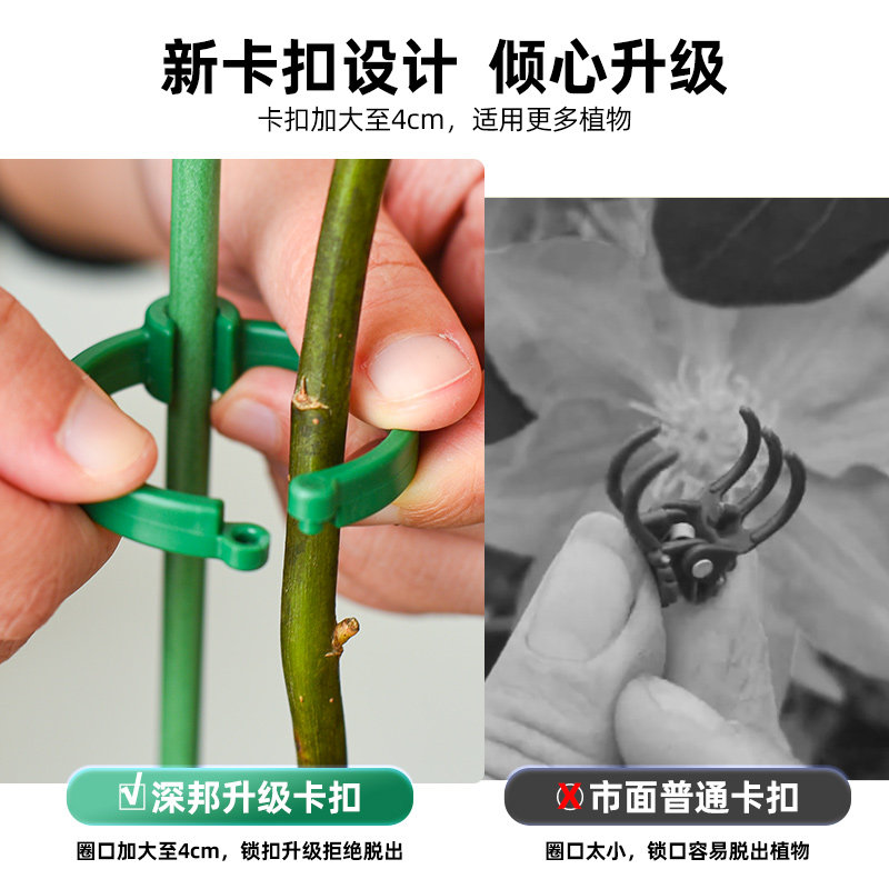 天堂鸟支撑杆专用防倒伏爬藤架植物龟背竹园艺三角梅支架固定神器,淘宝优惠券,粉丝福利购,淘宝优惠卷