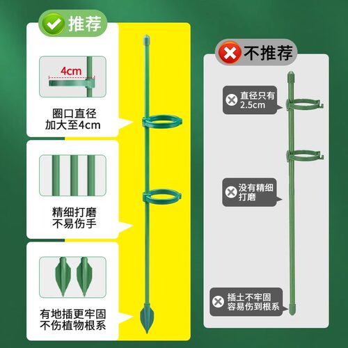 西红柿番茄辣椒固定杆爬藤吊兰园艺花架花支撑架植物防倒伏支撑杆 - 图0