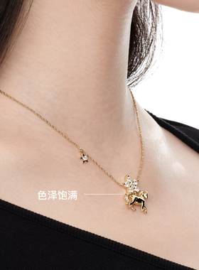 YVMIN尤目星星小马项链