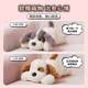 Miniso Papao Dog Plush Doll Pillow Gift