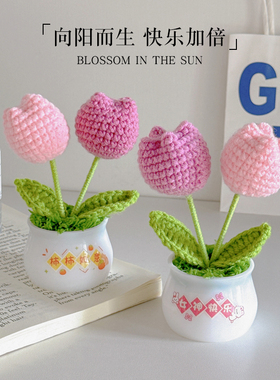 郁金香编织成品桌面摆件生日礼物