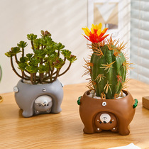 Creative Fake Multi Meat Cactus Real Green Plant Small Potted Office Desk Swing Piece Decorations Animal Flower Pots
