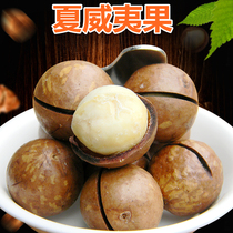 Hawaiian Fruits Cream Taste 500g Canned Nutty Delicious Nuts Dried Fruits 1 Catty Bulk Bag Packing MOUTH OPENER