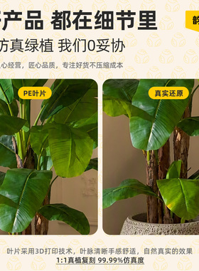 大型仿真绿植芭蕉树室内假树造景观高级感逼真植物落地盆栽摆件