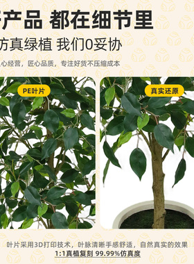 仿真绿植幸福树客厅大型落地盆栽室内轻奢装饰花仿生植物家居装饰