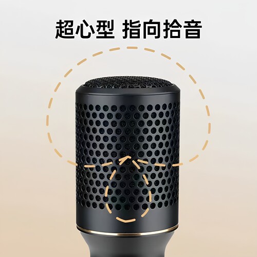 得胜DM103有线动圈麦克风直播K歌家庭会议户外舞台唱歌演出话筒 - 图2