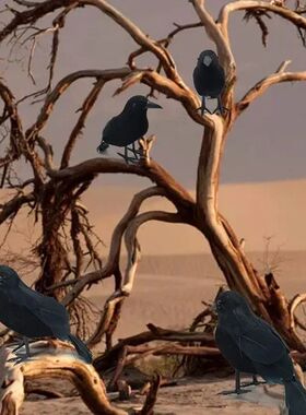 1-3pcs Realistic Artificial Crows Party Ornament Halloween D