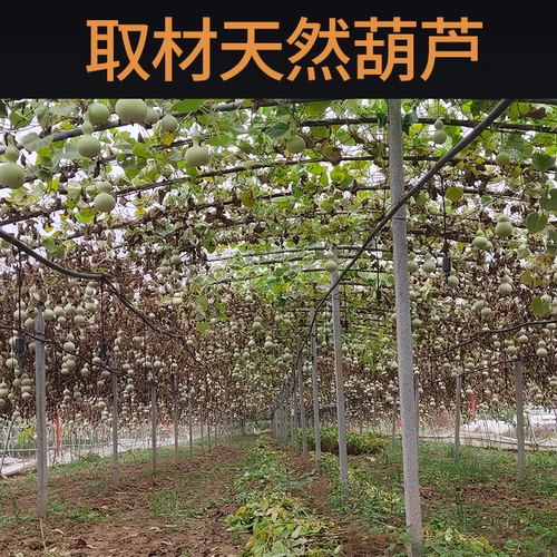 Натуральная подвеска, креативная штора из грецкого ореха, украшение в руку, декор