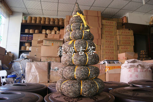 现货 早春茶冰岛古树普洱茶叶生茶古树茶珍藏品散茶金瓜 - 图1