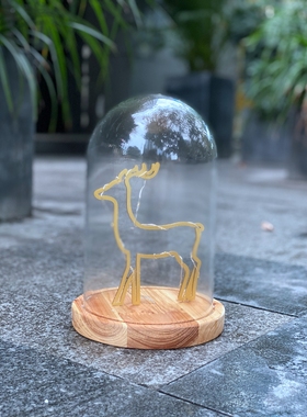 北欧风格玻璃罩带灯摆饰强烈推荐