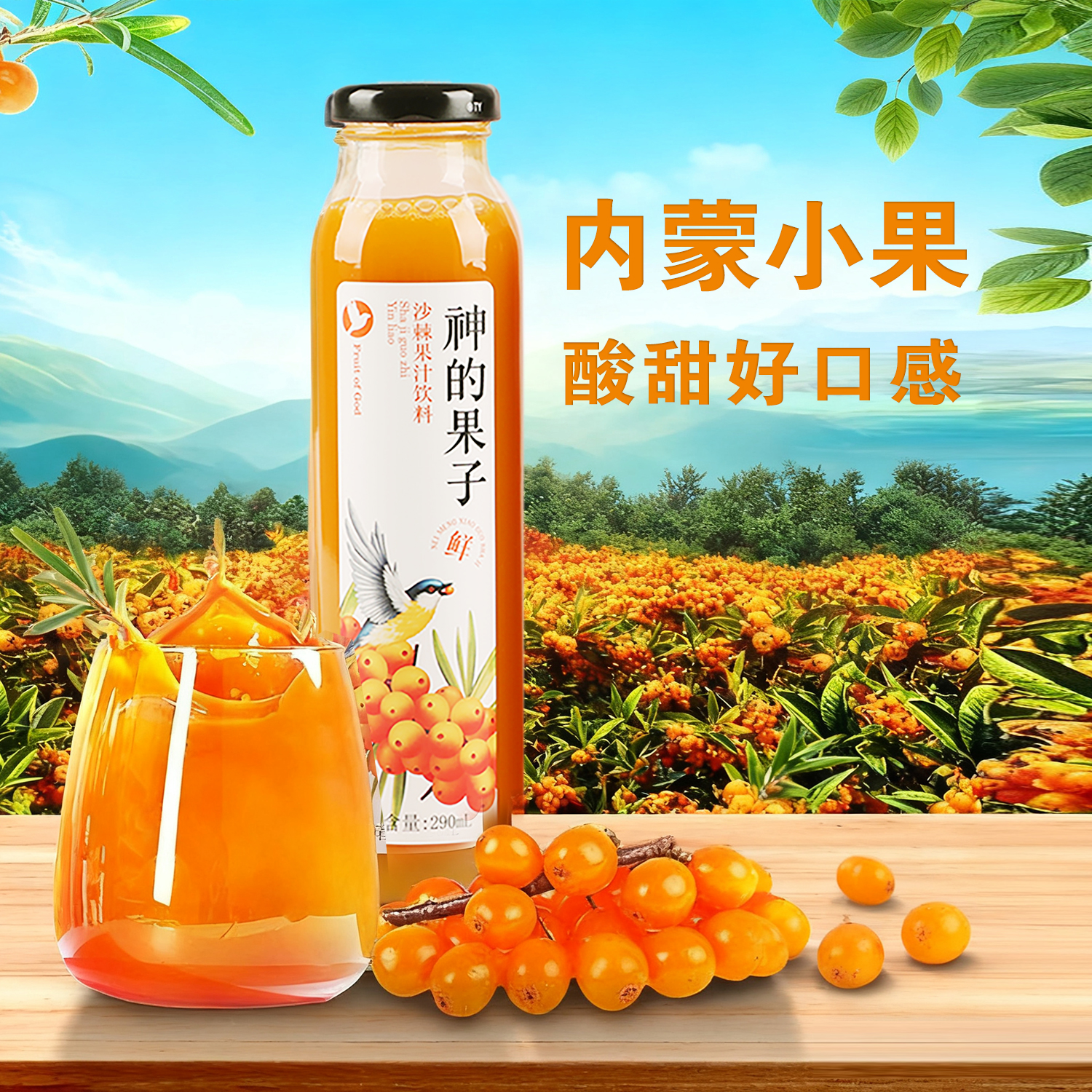 沙漠之花沙棘汁饮料内蒙特色果汁290ml酸甜好喝沙棘果味饮品礼盒 - 图0