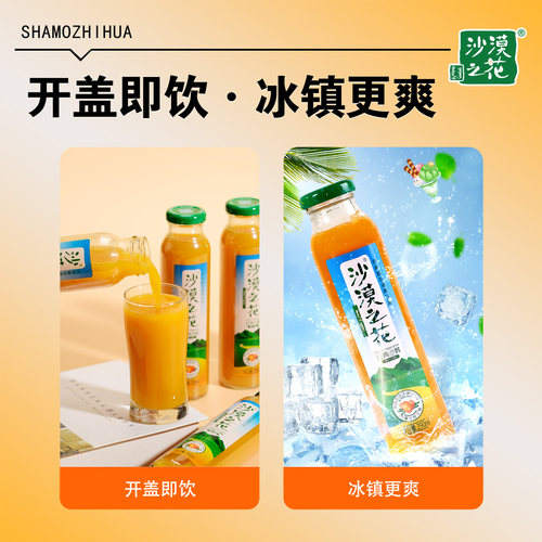 沙漠之花果味低脂果汁饮料8瓶装内蒙特产草原礼盒赤峰沙棘汁饮品 - 图2
