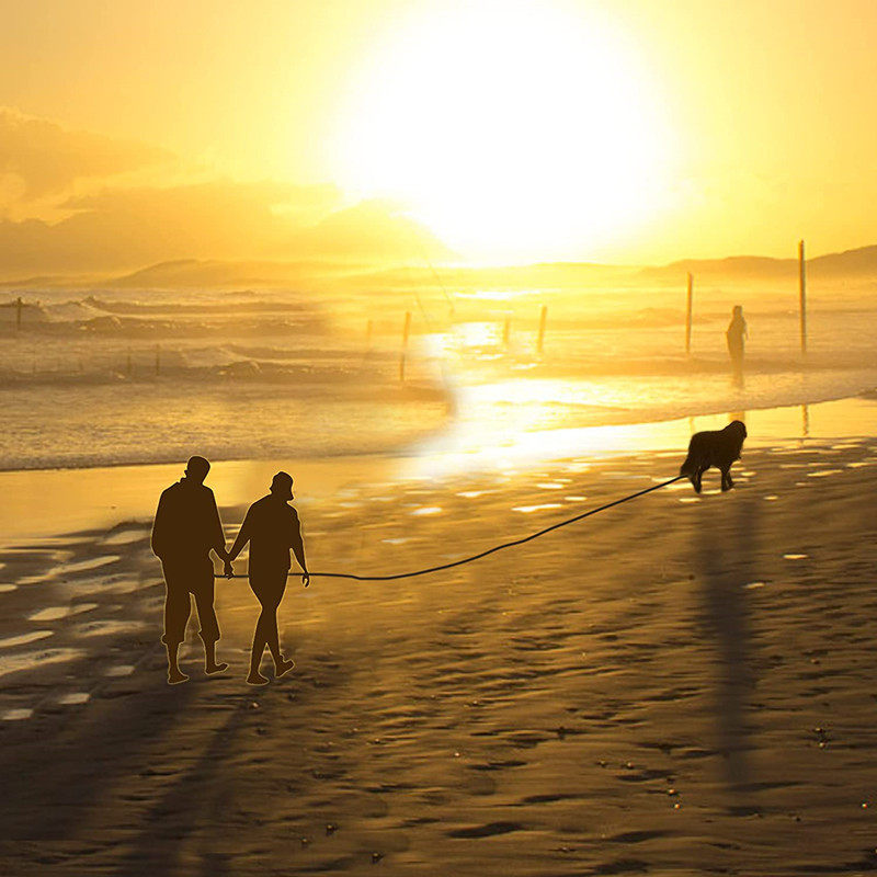 遛狗神器狗狗10/20米牵引绳狗绳训犬超加长绳狗链子牵引绳拴狗P绳,淘宝优惠券,粉丝福利购,淘宝优惠卷