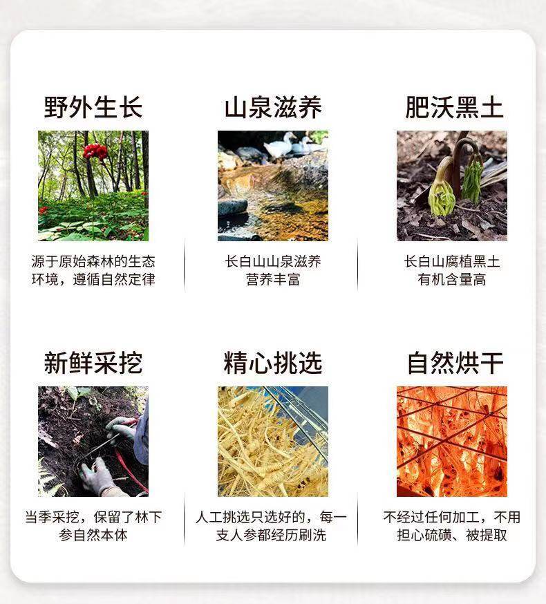 人参长白山野山参东北林下参野生人参20年泡酒山参礼盒装干货整枝,淘宝优惠券,粉丝福利购,淘宝优惠卷