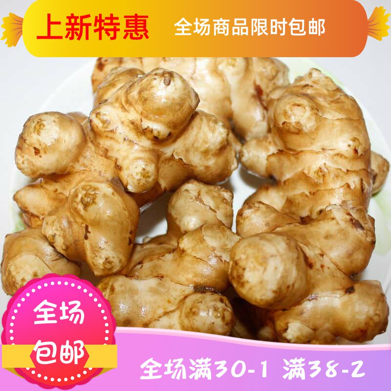 新鲜洋姜五姜年新菜芋生洋姜生鲜 刘小歪食品其它