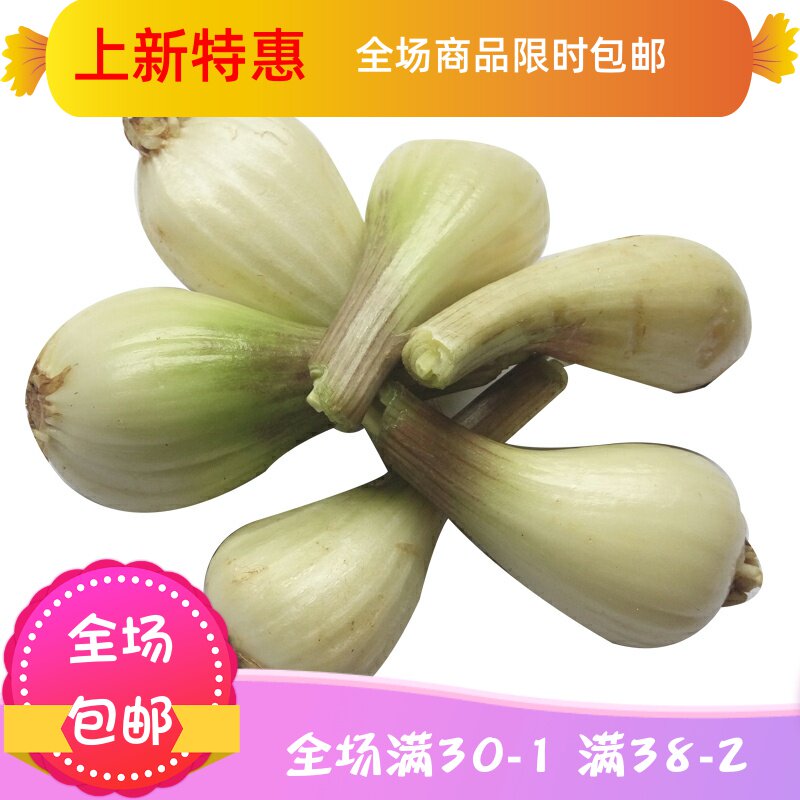 农家新鲜先挖5斤教头新鲜蔬菜 刘小歪食品其它