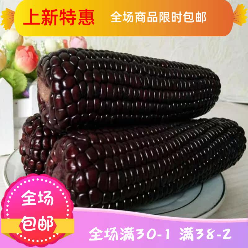 山西黑甜新鲜黑玉米2.5斤糯玉米 刘小歪食品其它