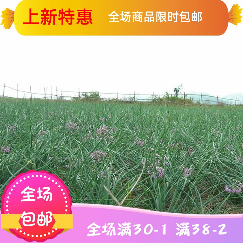  刘小歪食品其它