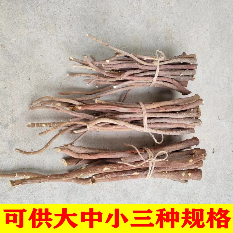 甘草段中药材整根500g甜草根甘肃正品无硫磨牙棒条干甘草片泡水灸 - 图2