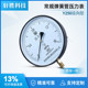 Y250 large dial boiler steam pressure gauge