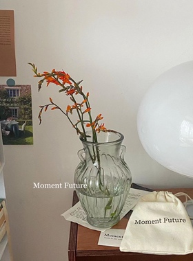 水培玻璃花瓶玻璃复古