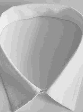 假领子百搭装饰单领子男纯色衬衣领头女士项圈围脖夏季街头小方领