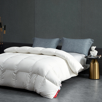 (Mall same section) Dream home spun quilted duvet quilted by 95 white goose down by core winter thickened quilt warm wp