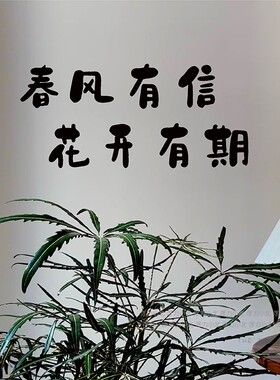 玻璃门贴纸咖啡奶茶店防水