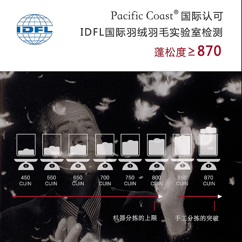 Pacific Coast/派赛菲特五星级酒店枕头枕芯单人护颈白鹅绒羽绒枕 - 图1