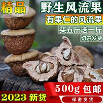 Wind Streaming Fruit Wild Guangxi 500g Special Class Boutique Turtle Head Thick Squamous male Nourishing Bubble Wine 2023
