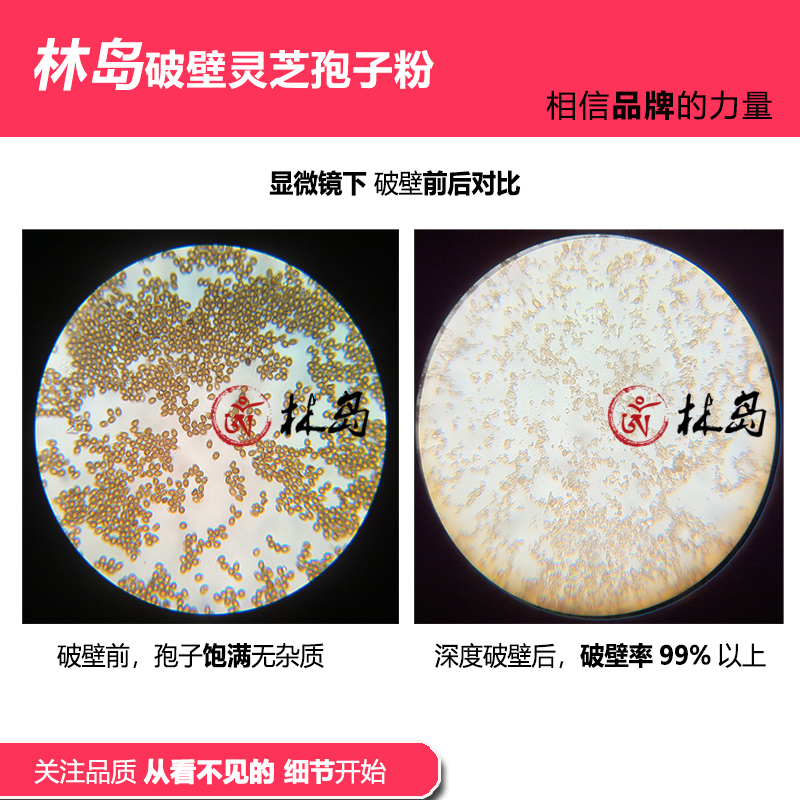 蓝帽健字号林岛牌破壁灵芝孢子粉2包500g三萜20.8