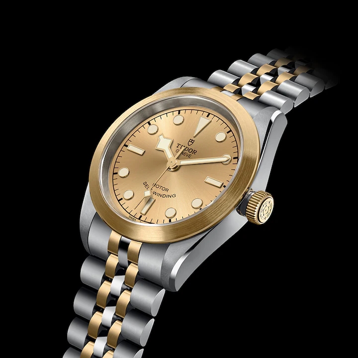 Tudor/帝舵碧湾系列女士自动机械表150m防水 M79583-0002