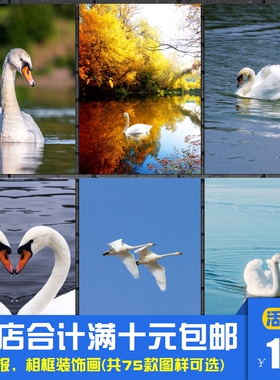 天鹅 唯美浪漫爱情主题轻奢海报装饰画婚房卧室婚庆挂画相框墙画